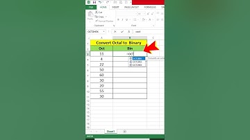 convert octal to binary function in excel #trendingvideo #excel #msexceltutorial