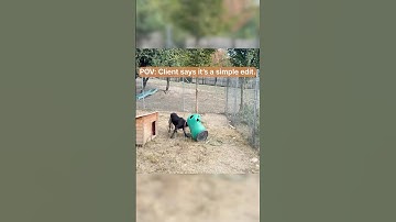 Freelancers VS Endless Client Requests!