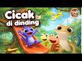 Cicak Cicak di Dinding - Lagu Anak Indonesia Populer