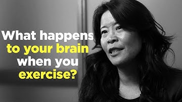 One Question: What happens to your brain when you exercise?