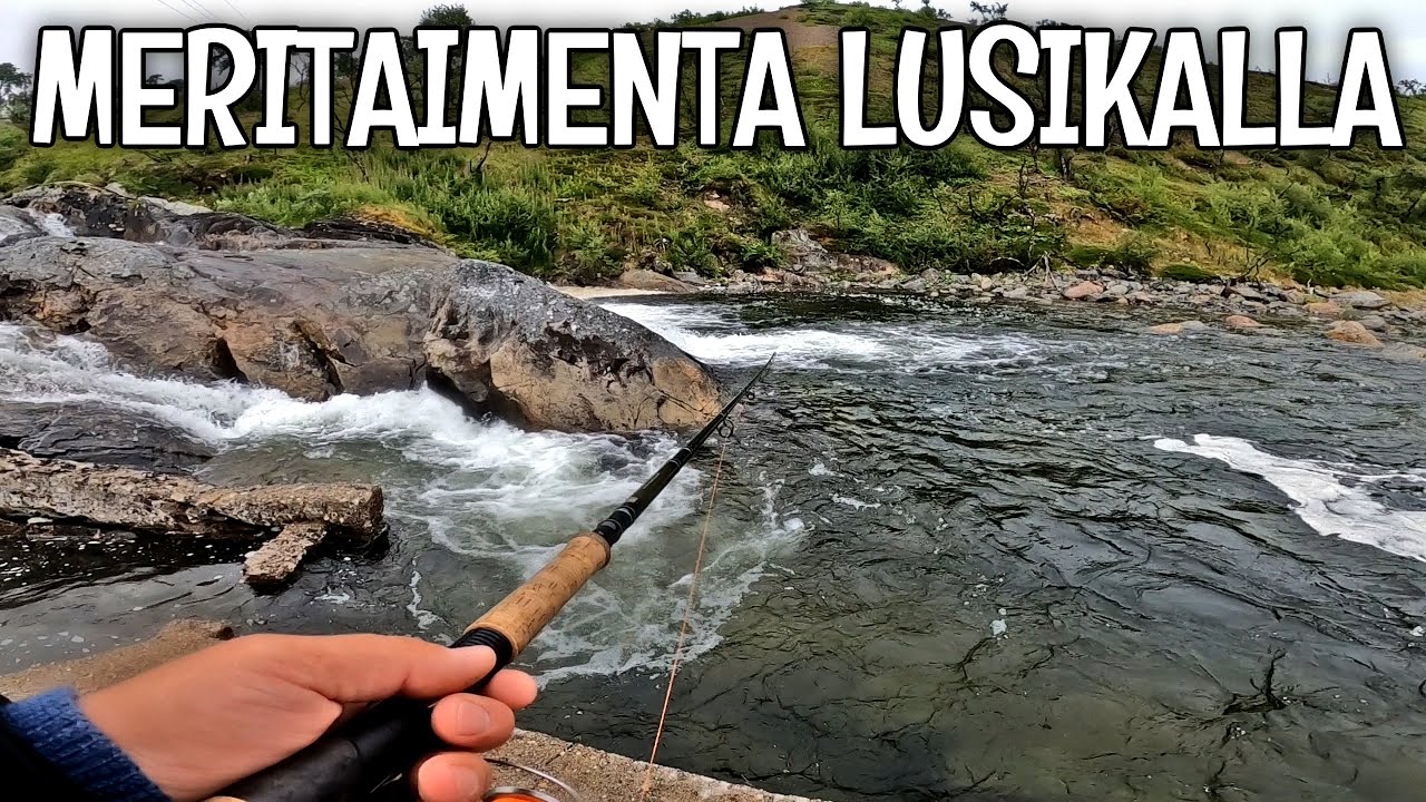 MERITAIMENIA ETSIMÄSSÄ NORJASSA - KALAREISSU NORJAAN 2023, OSA 3/5