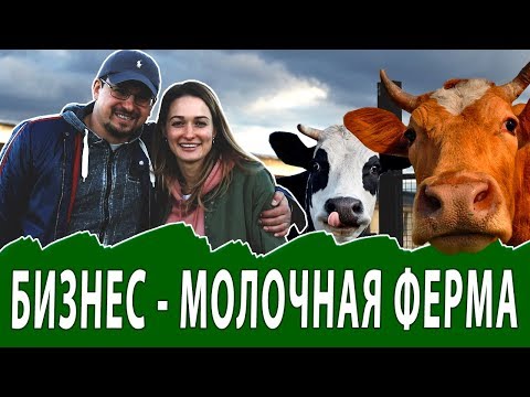 Производство молочной продукции. Молочная ферма