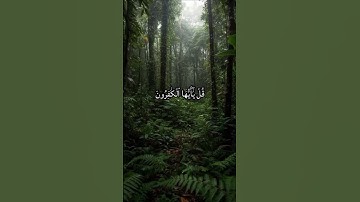 سورة الكافرون #القرآن_الكريم #القرآن #المصحف #اكسبلور #لايك