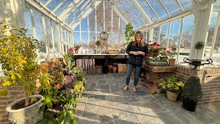 Winter Houseplant Tour in the Hartley! 💚🙌🪴 // Garden Answer