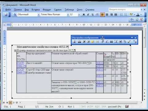 Настройка изображения в Word.avi