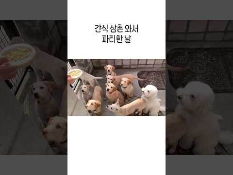 간식 삼촌 거덜났어요🤣