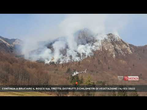 CONTINUA A BRUCIARE IL BOSCO SUL TRETTO, DISTRUTTI 3 CHILOMETRI DI VEGETAZIONE | 14/03/2022