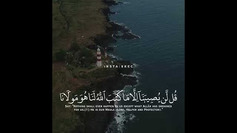 القرآن الكريم | آية قصيرة تريح القلب💖#8