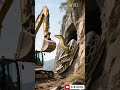 Giant Python Found Under Ground by Excavator Operator!