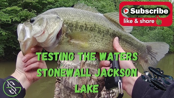 Stonewall Jackson Lake WV, Biggest fish of my life!! 