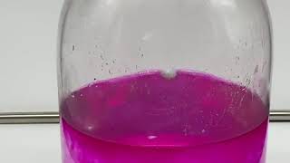 Reaction of sodium with water Reaction of sodium with water