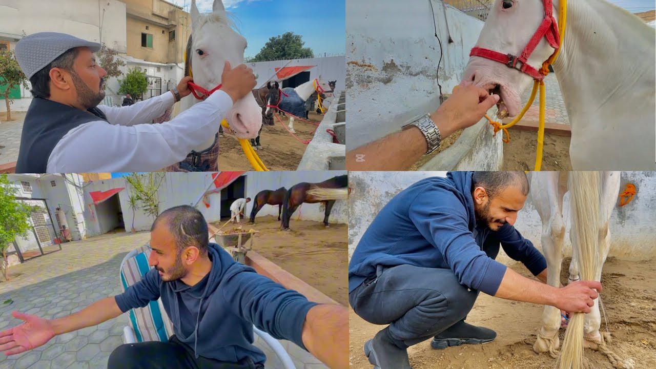 Special Guest At Home🥰|| Chaudry phas giya🤣|| Best Day Spent❤️✅