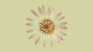 tangle up lokee remix {s l o w e d + r e v e r b}