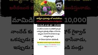 Business Tips|| Costly Mangos Farm|| Startup ideas #businessgrowth #startup #farming #viralshorts