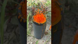 Jbl orange colour  bass test speaker, ￼￼