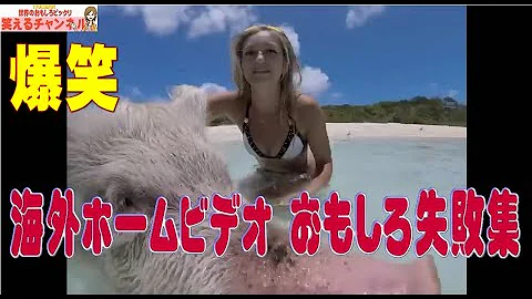 海外ホームビデオ 爆笑おもしろハプニング動画集 Mp3