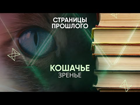 Кошачье зренье: какая хитрость поможет заполучить его солдатам будущего?