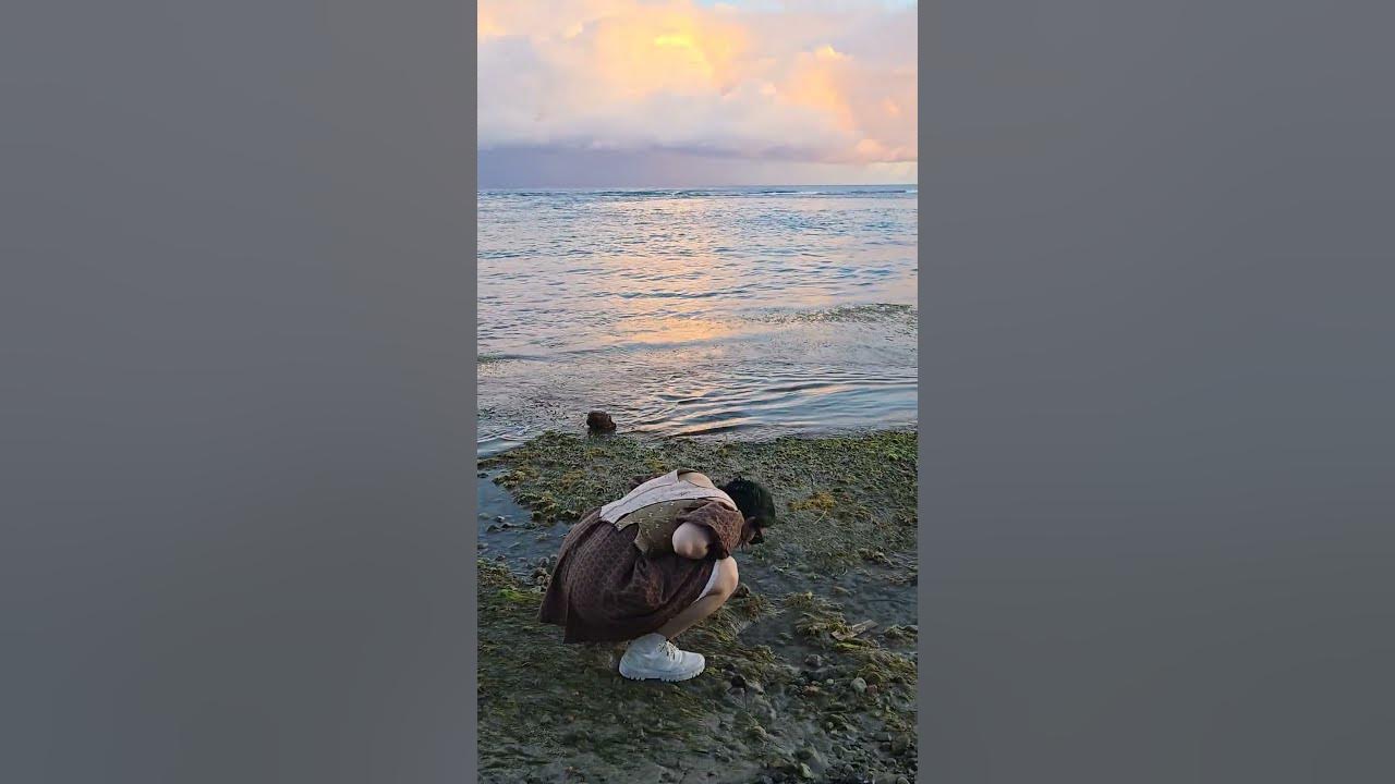 que bella mi isla #puertorico #prestabiencb #boricua #isla #badbunny #dtmf