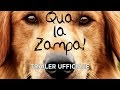 Qua La Zampa Italiano Ufficiale Hd