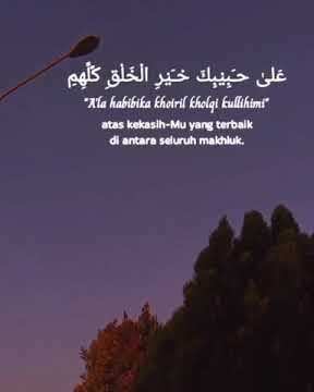 Status wa 30 detik || Sholawat - Maula Ya Sholli Wasallim Daiman Abadan _'(Penyejuk hati)'..