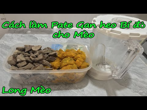 Video Cách làm Pate Gan heo Bí đỏ cho mèo - How to make Pate... - youtube