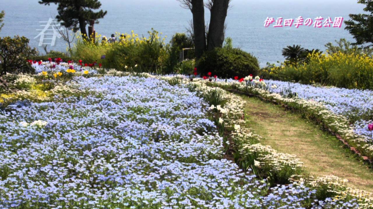 伊豆 四季 の 花 公園 あじさい