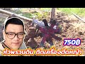 EP.191 หัวพรวนดิน ดายหญ้า ขึ้นร่อง ติดเครื่องตัดหญ้า | ไร่คำกวี เกษตรอินทรีย์ วิถีพึ่งตนเอง