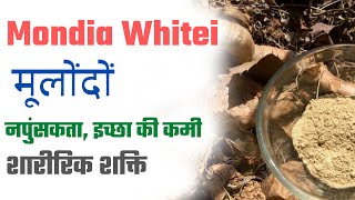 Mondia Whitei Mulondo Health Benefits, Doses And How To Use In Hindi