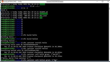 Running multiple Canisters with the Dfinity SDK