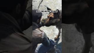 Meeting Dogmeat - Fallout 4 #shorts#fallout4#fallout4gameplay#dogmeat#ytshorts#shortvideo#viral#fyp