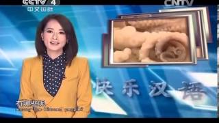 20140320 快乐汉语 海的滋味 语言点:从来没/不......