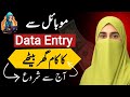 Start Data Entry Work from Home in 2025 | Online Earning in Pakistan | Beginner’s Guide