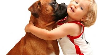 Маленькие дети и их большие собаки Маленькие дети и их большие собаки