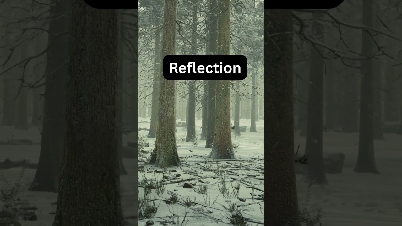 Daily Reflection: Matthew 