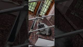 The Naughty Pepper Video Is Now Live On Dont Miss Out