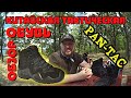 ТАКТИЧЕСКИЕ китайские БОТИНКИ PanTac с aliexpress (реплика ESDY, MTac Alligator,Lowa Zephyr) ОБЗОР