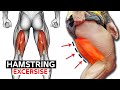 9 Easy Exercises Hamstring Workout | Leg Day