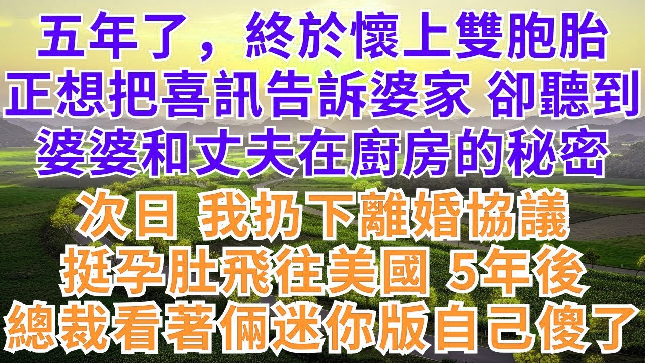 五年了，終於懷上雙胞胎，正想把喜訊告訴婆家，卻聽到婆婆和丈夫在廚房的秘密，我果斷扔下離婚協議帶著孕肚飛往美國，