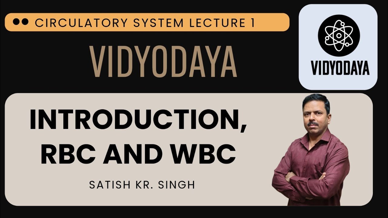 Class 6 ICSE ll Circulatory system ll Introduction, RBC and WBC || Lecture 1
