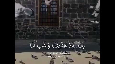 (رَبَّنَا لَا تُزِغْ قُلُوبَنَا بَعْدَ إِذْ هَدَيْتَنَا)ايه 8 سورة ال عمران القارئ عبدالرحمن مسعد