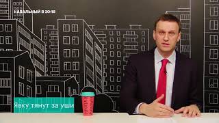 Навальный про то, как явку тянут за уши!!!