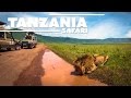 Tanzania Trip - Ultimate Safari HD [GoPro]
