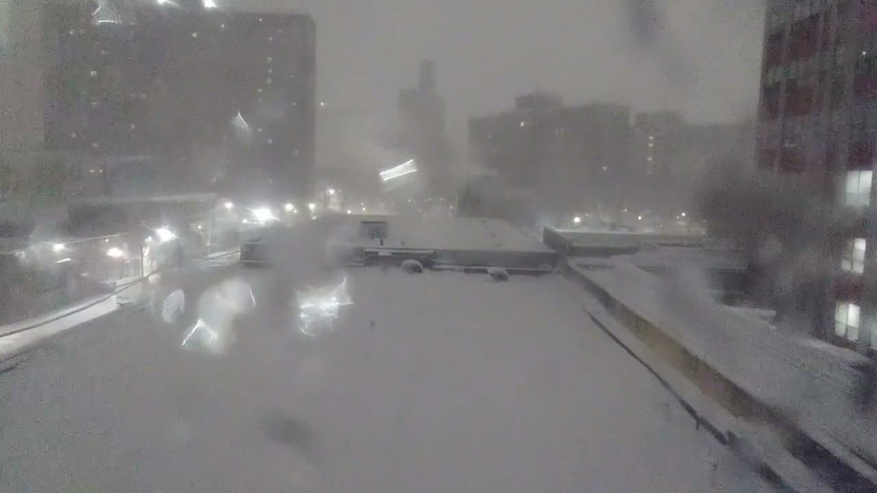 Snow Day in NYC BROOKLYN 