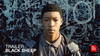 Black Sheep | Trailer | BELDOCS 2020