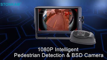 Intelligent Real-time Pedestrian Detection and Alarm Camera