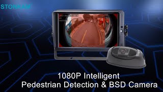 Intelligent Real-time Pedestrian Detection and Alarm Camera