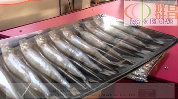 shrink wrap machine for food,automatic fish sealing machine,packaging machinery