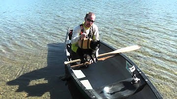 How to Canoe with your Dog