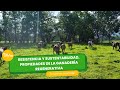 Resistencia y sustentabilidad en la ganadería regenerativa - TvAgro por Juan Gonzalo Angel Restrepo