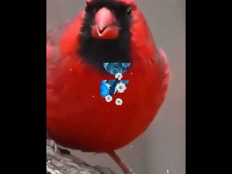 مناظر جميله ورائعه 